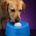 Lamdor™ comedero interactivo para perros y gatos