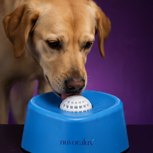Lamdor™ comedero interactivo para perros y gatos